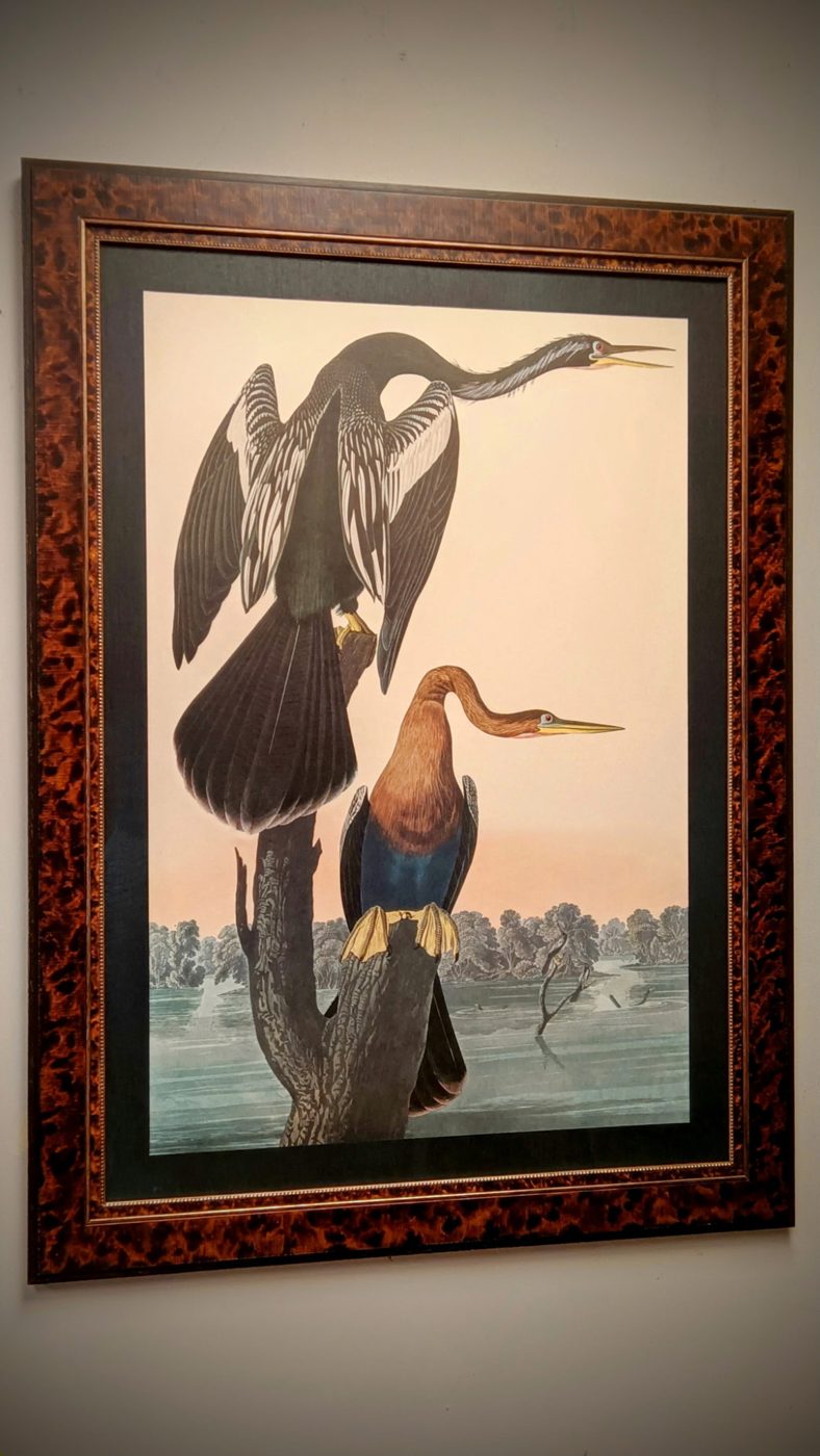 Custom framing work by Uncommon — Lubbock, TX