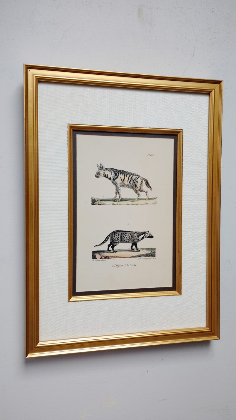 Custom framing work by Uncommon — Lubbock, TX